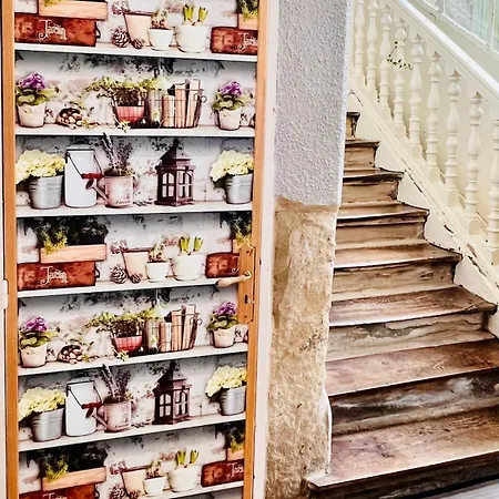 Joli T1 Chez Doudou Plein Centre-ville Au Calme, Vue Jardin *