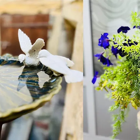 Joli T1 Chez Doudou Plein Centre-ville Au Calme, Vue Jardin * Rambervillers