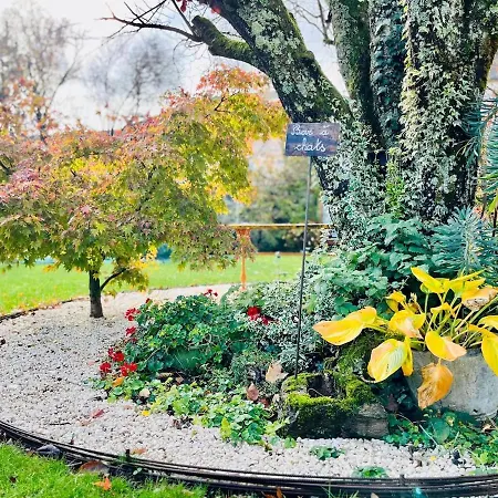 Joli T1 Chez Doudou Plein Centre-ville Au Calme, Vue Jardin * Rambervillers