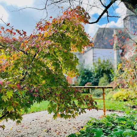 Apartment Joli T1 Chez Doudou Plein Centre-ville Au Calme, Vue Jardin *