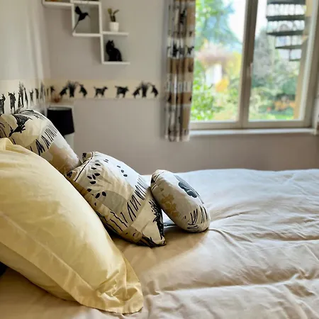 Joli T1 Chez Doudou Plein Centre-ville Au Calme, Vue Jardin Appartamento Rambervillers