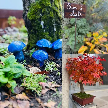 Joli T1 Chez Doudou Plein Centre-ville Au Calme, Vue Jardin Rambervillers