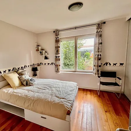 Joli T1 Chez Doudou Plein Centre-ville Au Calme, Vue Jardin Rambervillers