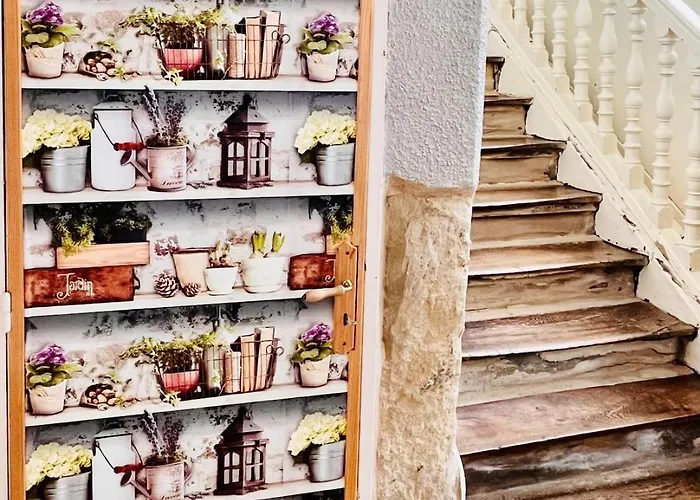 Joli T1 Chez Doudou Plein Centre-ville Au Calme, Vue Jardin *