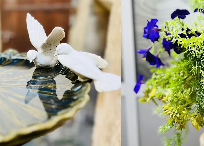 Joli T1 Chez Doudou Plein Centre-ville Au Calme, Vue Jardin * Rambervillers