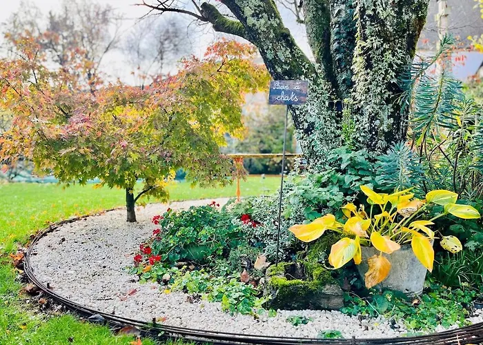 Joli T1 Chez Doudou Plein Centre-ville Au Calme, Vue Jardin * Rambervillers