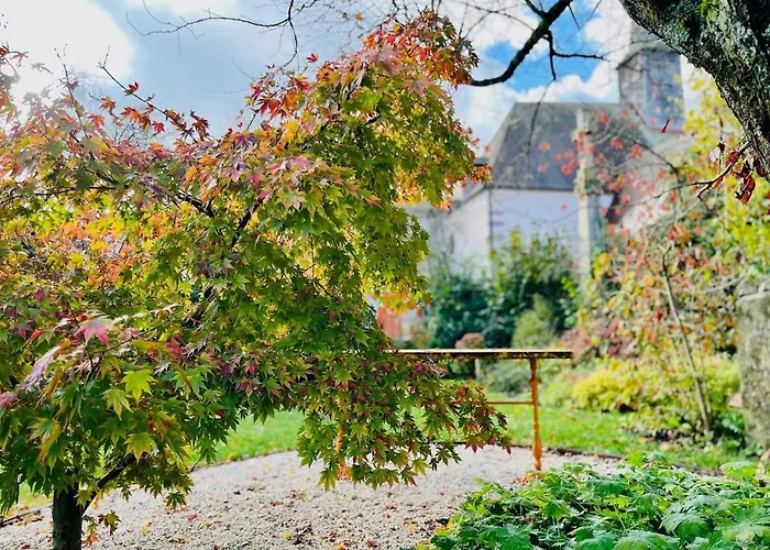 Apartment Joli T1 Chez Doudou Plein Centre-ville Au Calme, Vue Jardin *