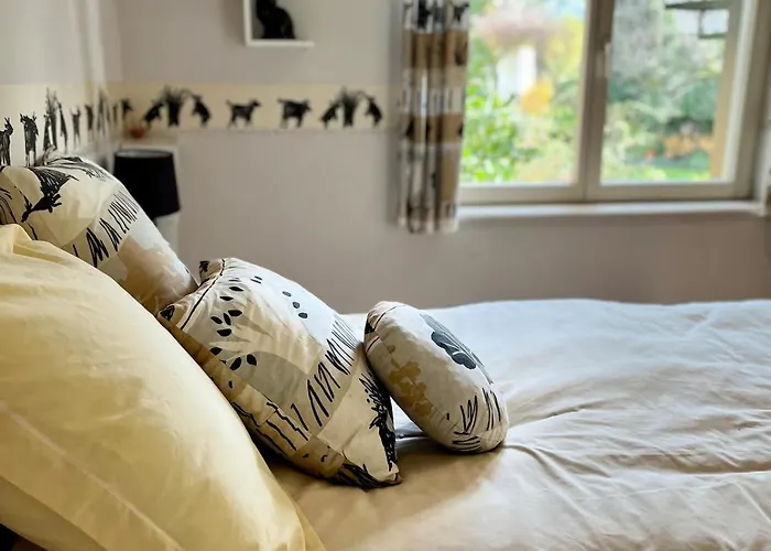 Joli T1 Chez Doudou Plein Centre-ville Au Calme, Vue Jardin Apartment Rambervillers