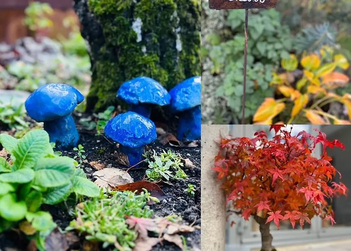 Joli T1 Chez Doudou Plein Centre-ville Au Calme, Vue Jardin Rambervillers