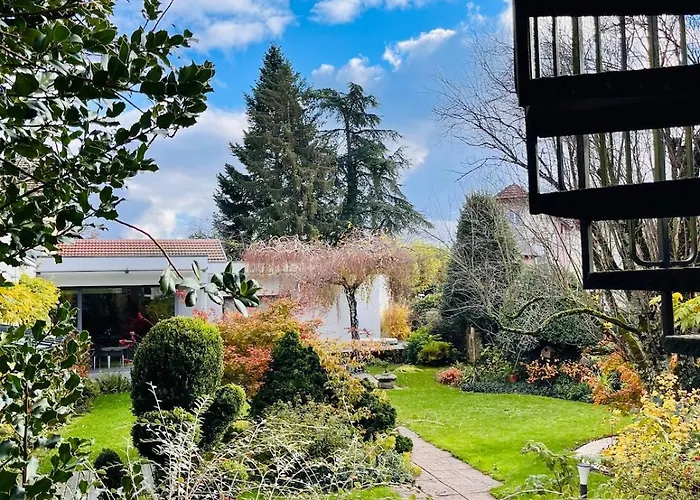 Joli T1 Chez Doudou Plein Centre-ville Au Calme, Vue Jardin Rambervillers