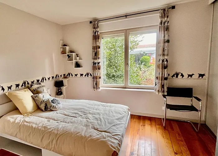 Joli T1 Chez Doudou Plein Centre-ville Au Calme, Vue Jardin Rambervillers